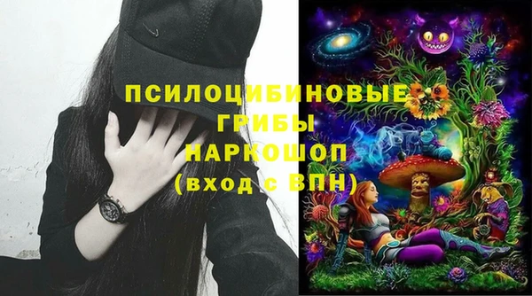 стафф Абинск
