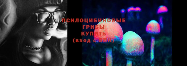 мяу мяу мука Протвино