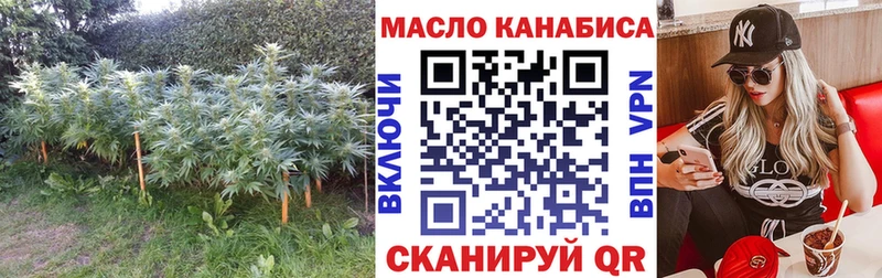 ТГК концентрат  MEGA зеркало  Зеленодольск  купить  