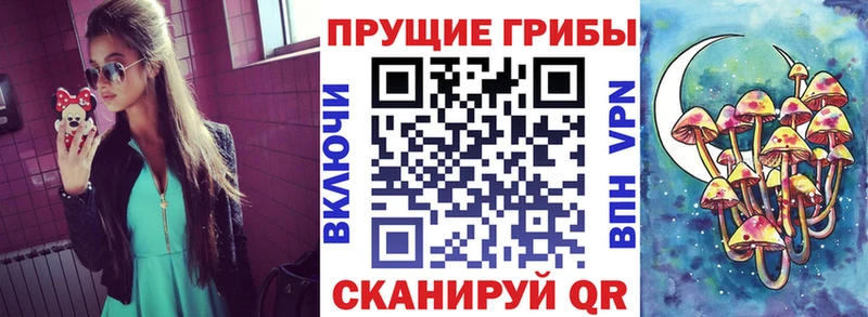 Псилоцибиновые грибы GOLDEN TEACHER где найти kraken как зайти Зеленодольск